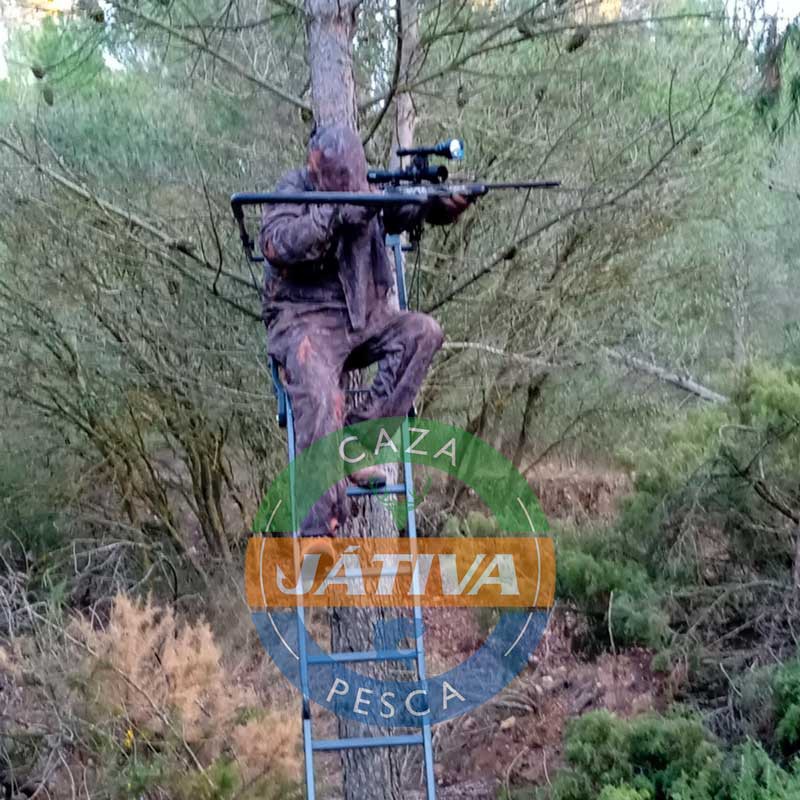 Puesto de caza elevado árbol portátil 2.35 m - Caza y Pesca Játiva
