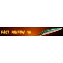 Fast Minnow 90
