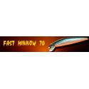 Fast Minnow 70