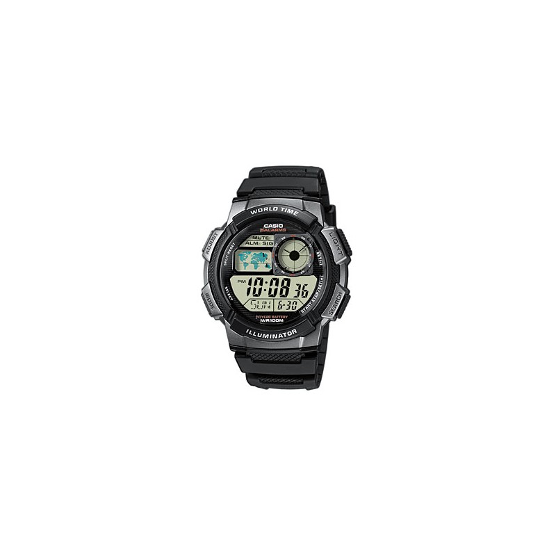 casio salarms ae1000w