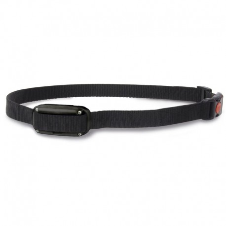 Collar Antiladridos D-MUTE One