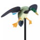 Aves Rotativas electricas cimbel Pato Real