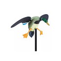 Aves Rotativas electricas cimbel Pato Real