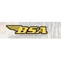 BSA